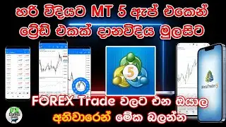How To trade Using MT 5 App | කොහොමද අපි හරියට MT 5 ඇප් එක බාවිතා කරලට්&zwj;රේඩ් කරන්නෙ. | Fx lanka
