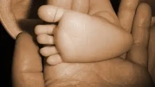 Fathers Rights Movement
