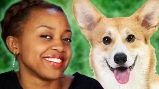 What Dog Breeds Say About Their Owners