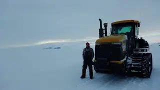 Cats on ice