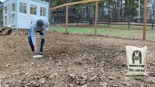 Predator bird seed