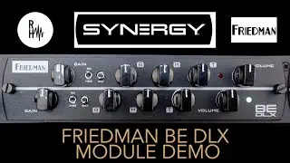 Synergy Friedman BE DLX Module Demo