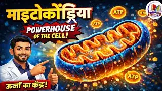 Mitochondria Explained in Hindi | Powerhouse of Cell | Biology One Shot || The zoology