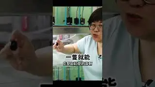 😴💤不想上班～不想吃藻～為什麼我養的黑金剛螺那麼廢？Why BLACK MILITARY snail DO NOT want to eat algae? #Shorts