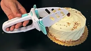 Most Advanced Cake Slicer!?