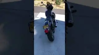 Harley FXR for Sale.
