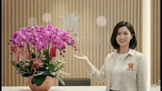 What Do Orchid Colors Mean? The Symbolism of Phalaenopsis (White, Pink, Yellow & More)#Phalaenopsis
