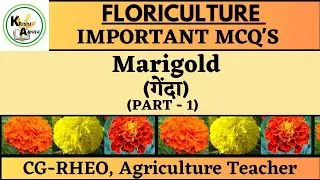 Marigold (गेंदा) // Important Mcq's // Part-1 #floriculture #horticulture