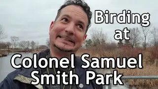 Colonel Samuel Smith Park Birding