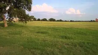 Fields and Roses