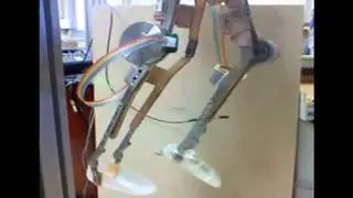 Development of the ATLAS lower-limb active orthosis