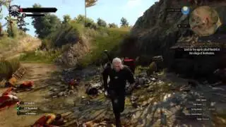 The Witcher 3 Rotfiend explosion bug - PC