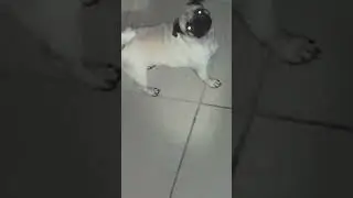 hola esto es para mus unixos subs gracias por el apoyo