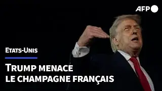 Trump menace d'imposer des droits de douane de 200% sur les vins et champagnes fran&ccedil;ais | AFP