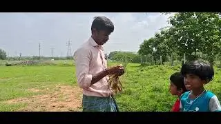 விடுமுறை நாட்களில் குழந்தைகளுடன் பண்ணை வேலை