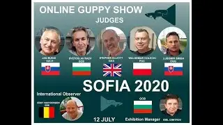 ONLINE GUPPY Show  SOFIA-2020