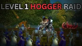 We Tried to Kill Hogger with 23 Level 1s&hellip; (Hardcore WoW Classic)