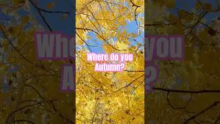 A Tapestry of Gold: June Lake in Fall #Shorts #FallLeaves #Autumn