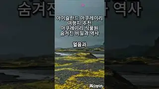 아이슬란드 아쿠레이리 여행지 추천 아쿠레이리 식물원의 숨겨진 비밀과 역사 🇮🇸#유럽여행 #유럽 #지식 #정보 #관광 #여행추천 #세계여행 #아이슬란드 #아이슬란드여행 #아쿠레이리