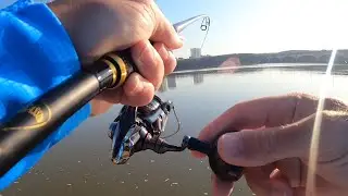 Fishing Blue Lagoon Durban - Catching my favorite species !!