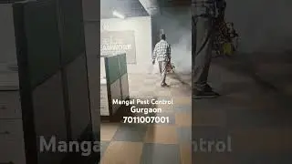 Mangal Pest Control, Gurgaon #automobile #pestcontrol #pestcontrolhatirpool #pest #trending #viral