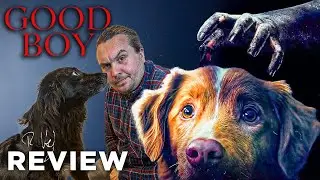GOOD BOY Critic Review (2025)