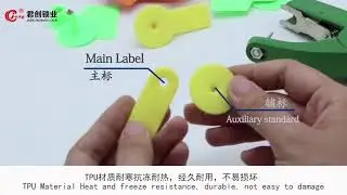 Shandong Junchuang Lock Seal Animal ear tags JC-ET003 #animal #eartag #farm