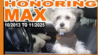 Honoring a pets death through Support and Compassion: