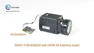 SONY Auto focus camera block FCB-ES8230 with HDMI 4K interface board