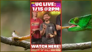 UG LIVE SHOW - 1/15 @ 2 PM EST