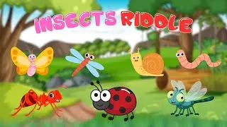 Insect Riddles for Kids | Fun Guessing Game | Bingo Brain Boosters