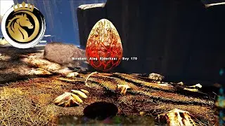 Ark türkçe Ejder Yumurtası Çaldım | ARK Survival Evolved Ragnarok (MODSUZ) I S1B33