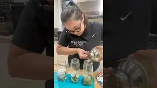 #margaritas #mojitotime #cocktails #cocktail #easycocktails #homecookingvlog #recipes