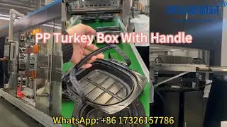 3 Stations Thermoforming  Machine For PP Turkey Box With Handle