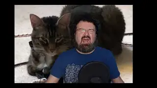 DsP--jasper scratching his father again + slow day for FF16--clown mode activated + slow night