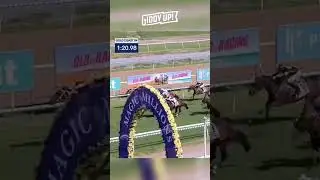 Fashion Legend - Gold Coast Magic Millions Guineas 2023 🏆🐎 #shorts #horseracing