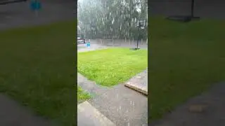 🐈 🐕 Coming down from storm Nicholas (91521) * Subscribe For Free*