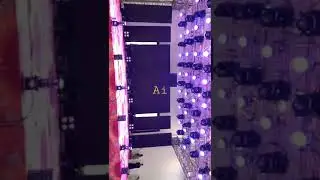 Damaka event organising with colorfull light and smoke | Amaze Ind