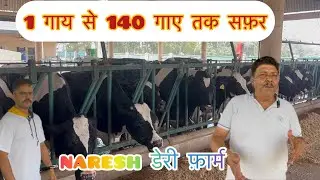Indian🇮🇳Biggest Cow🐄डेयरी farm !!! 140+ Cow !!! Naresh Dary farm !!!  1 गाये से 140 गाये तक का सफ़र