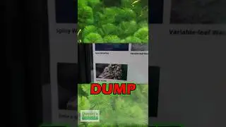 TOP 5 ILLEGAL FISH AND PLANTS INTRO - PART 2