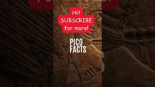 Weird Ancient Beliefs    #PICO_FACTS #shorts #trending #viral #viralvideo Ancient Belief Series9