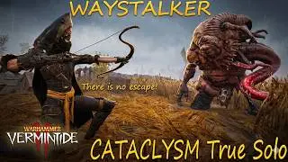 Waystalker - Cataclysm True solo - Sword Dagger/Hagbane - Against the Grain - Warhammer Vermintide 2