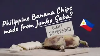 The Best Banana Chips Brand in The Philippines? - Banana Chief's Giant Banana Chips