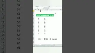 Column Hide/Unhide - Shortcut key