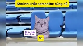 Khoảnh Khắc Adrenaline B&ugrave;ng Nổ | Queen Cat