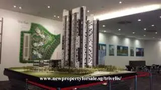 Trivelis | 3 Room Show Flat Virtual Walk Through | Singapore Clementi DBSS