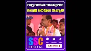 Yadav Community Protest ||రేవంత్ పై యాదవులు గుస్సా|| #Shorts #Sscdigital #Balannamuchatlu