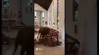 Cu taurul la mănăstirea Sf&acirc;ntul al catolici din Spania