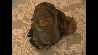 How to Clean a Dirty Old Ballcap in Your Dishwasher