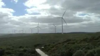 Bibulmun Track past Albany Wind Farm